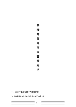 泰隆商贸电商运营策划书