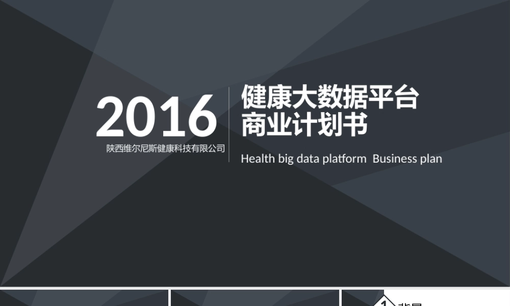 大数据健康平台商业计划书