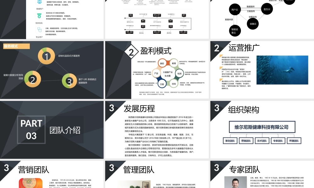 大数据健康平台商业计划书