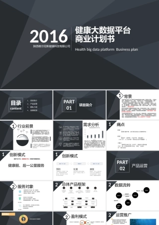 大数据健康平台商业计划书
