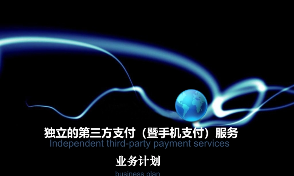 第三方支付商业计划书