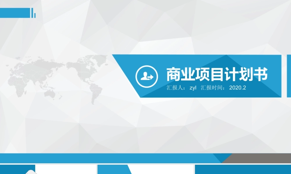 互联网电商项目创业商业计划书