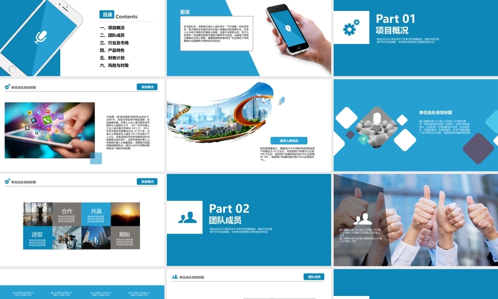 互联网电商项目创业商业计划书