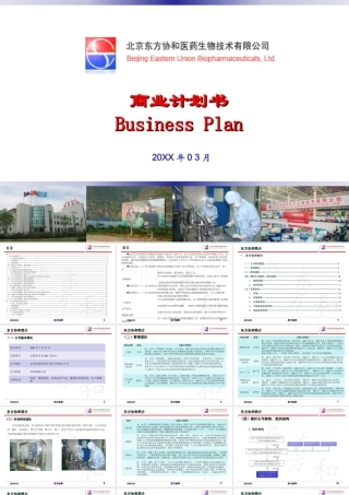 创业文档-医药类BP