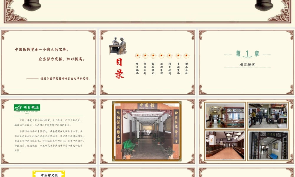 特色中医馆商业计划书