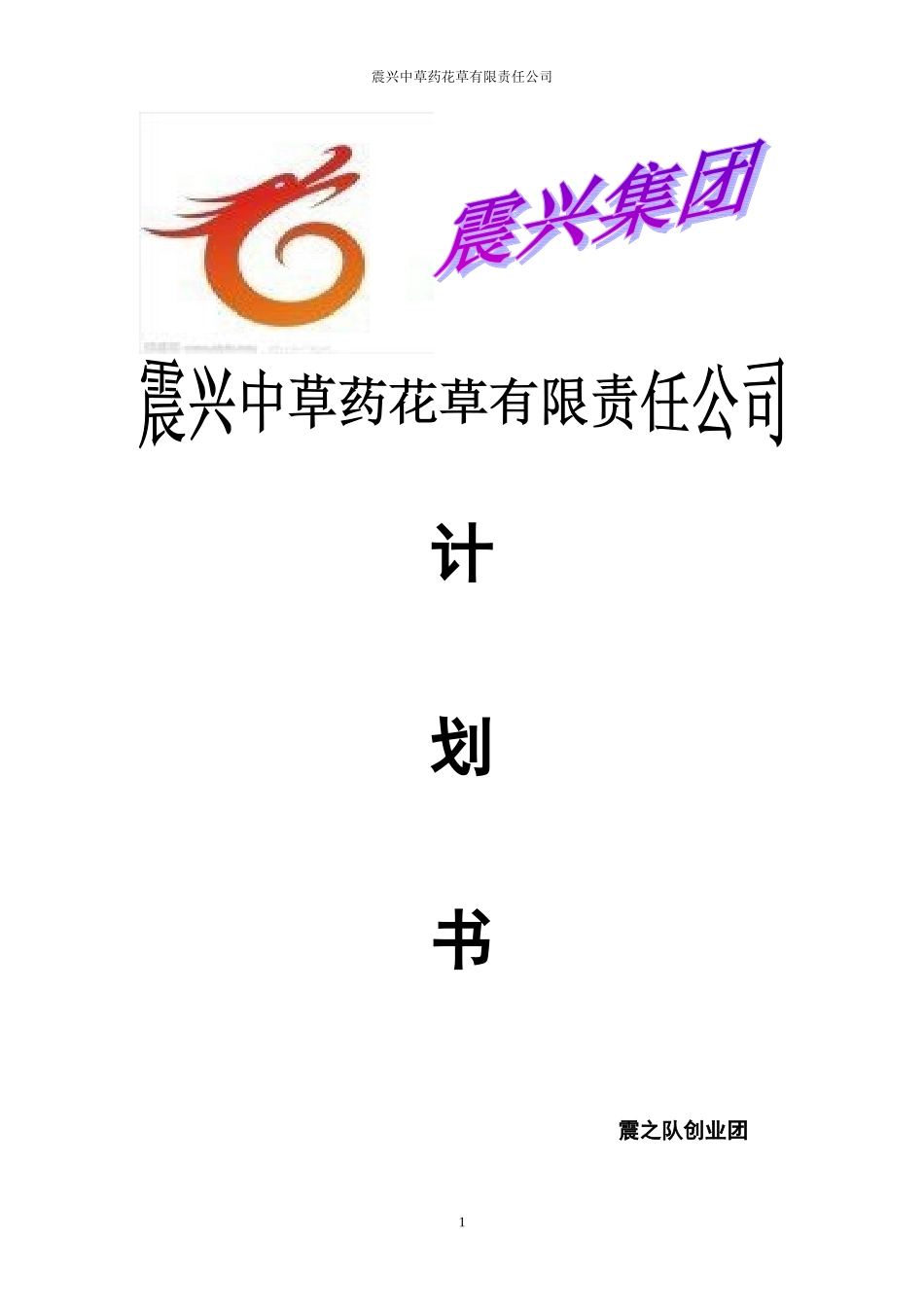 震兴中草药花草有限责任公司计划书_第1页