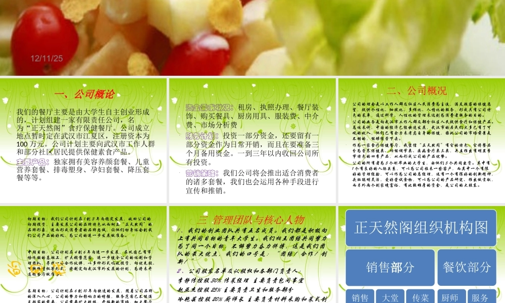 正天然阁食疗保健餐厅创业计划书