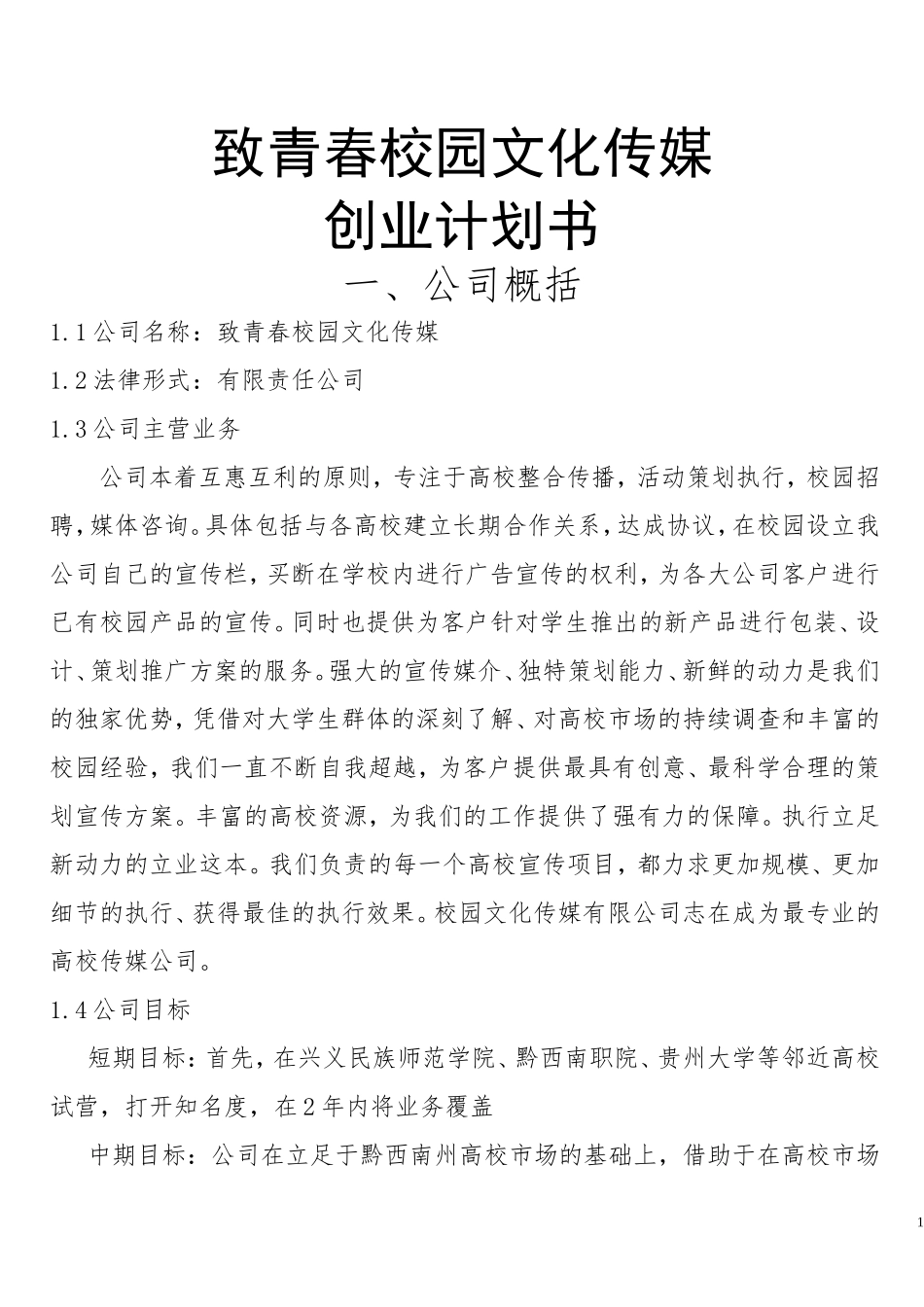 致青春校园文化传媒-创业计划书_第1页