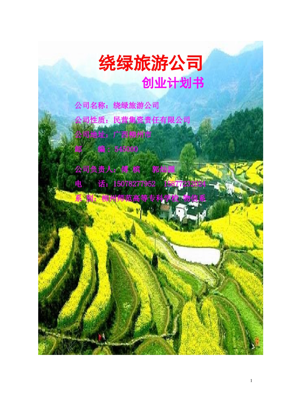 8绕绿旅游公司创业计划书_第1页