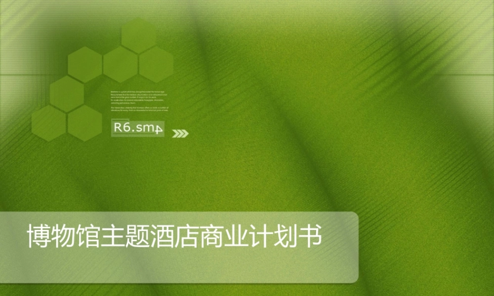 博物馆酒店计划书