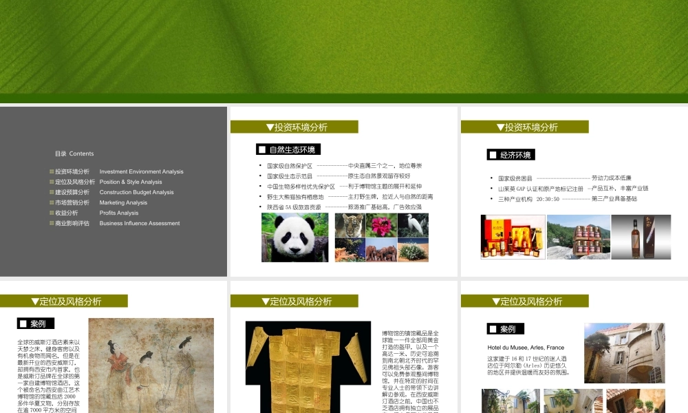 博物馆酒店计划书