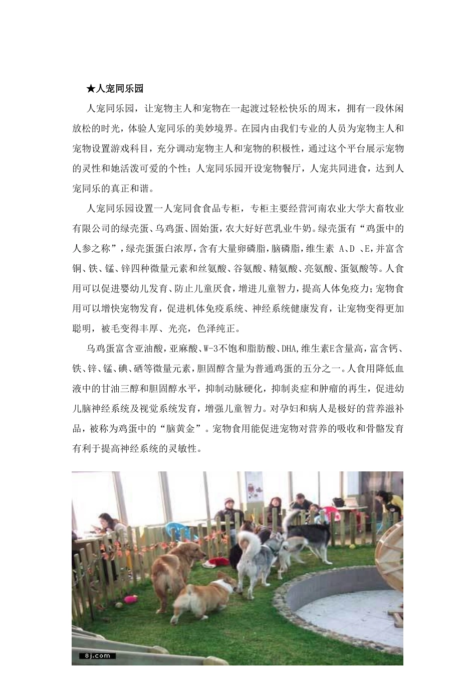 宠物店商业计划书---正式_第3页