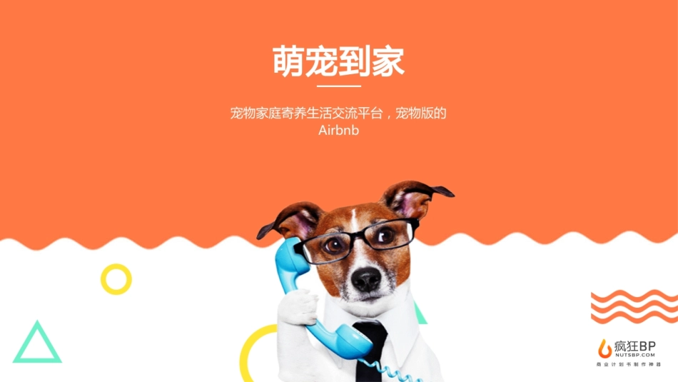 宠物寄养APP商业计划书模板——疯狂BP_第1页