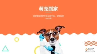 宠物寄养APP商业计划书模板——疯狂BP