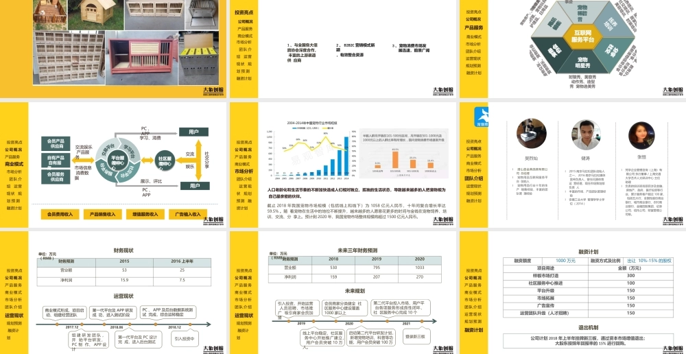 宠物用品互联网服务平台商业计划书模板范文