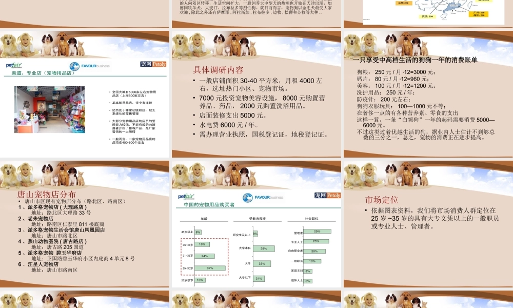 创业策划书:宠物店