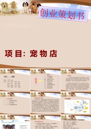 创业策划书：宠物店