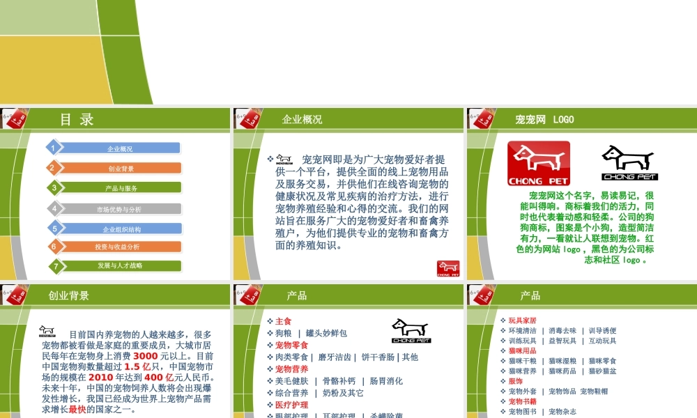 创业计划书宠物网站文化传播