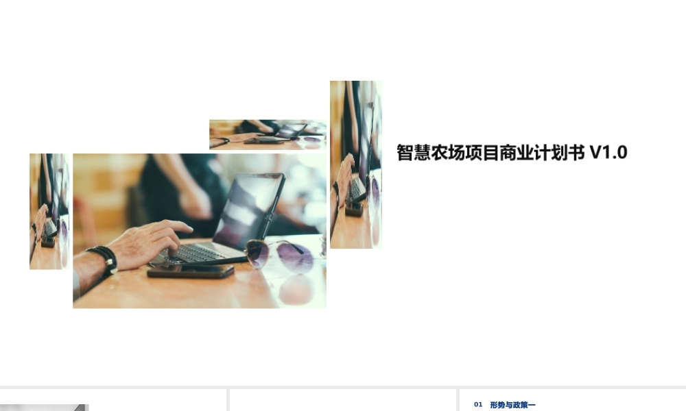 关于智慧农场投资项目商业计划书