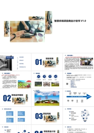 关于智慧农场投资项目商业计划书