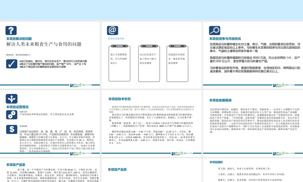 绿色农业种植3000亩马铃薯基地商业计划书