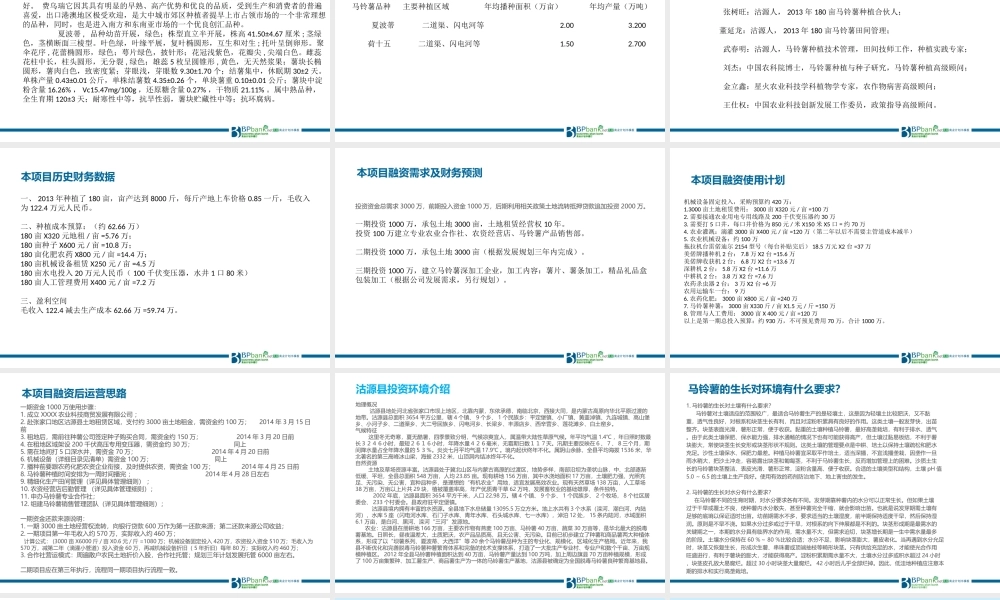 绿色农业种植3000亩马铃薯基地商业计划书