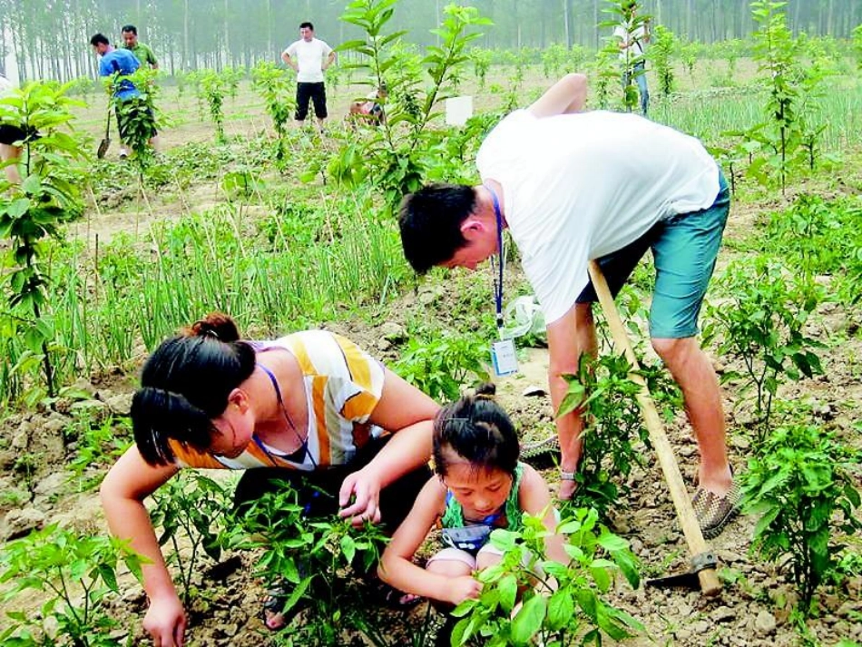南京现实版开心农场_第3页