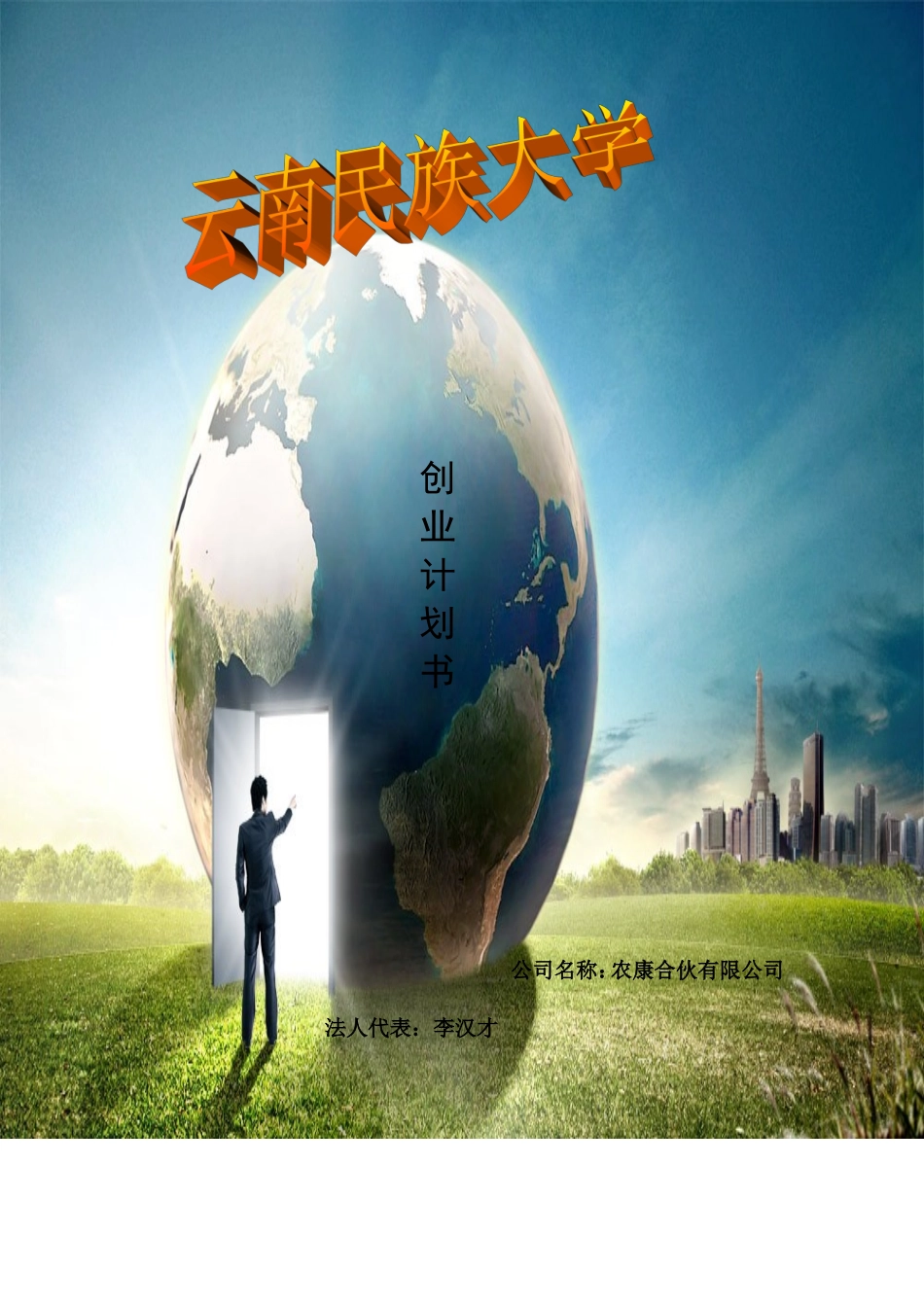 农康集团创业计划书_第1页