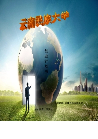 农康集团创业计划书