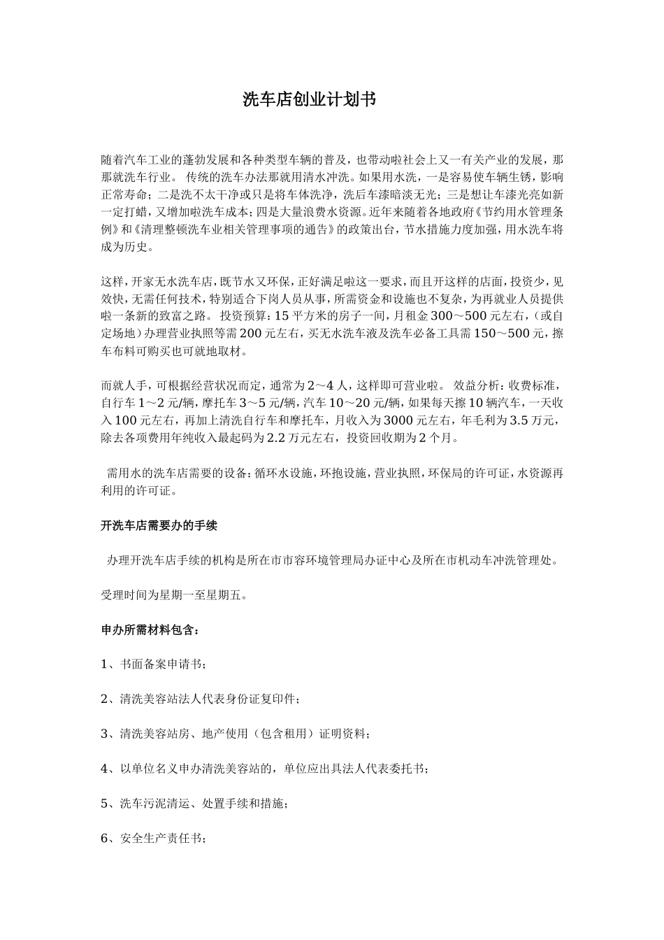 洗车店创业计划书_第1页