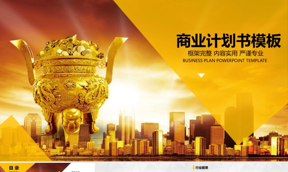 养老院互联网创业项目商业企划书