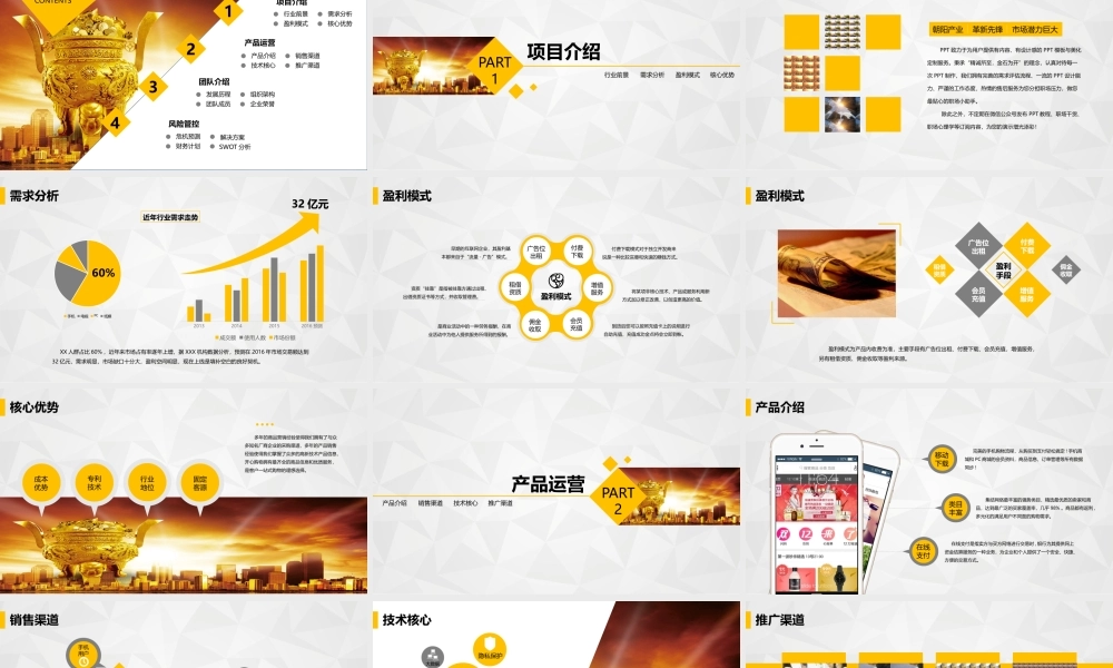 养老院互联网创业项目商业企划书