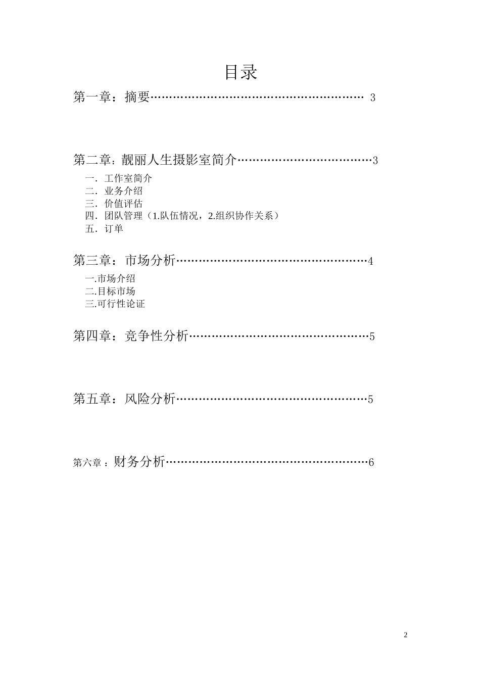 靓丽人生摄影室创业计划书_第2页