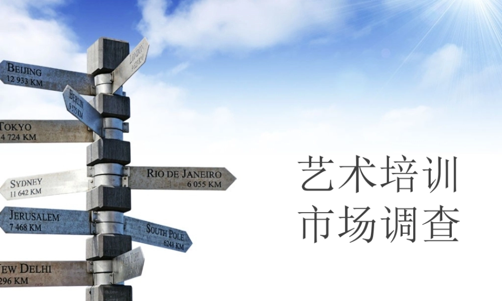 艺术培训市场调查