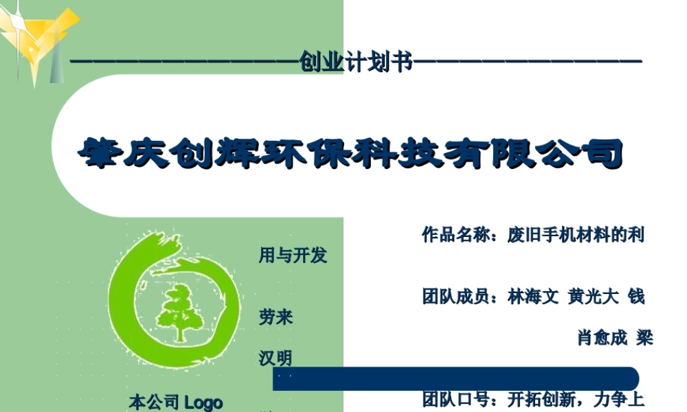 创业计划书肇庆创辉环保科技有限公司模板