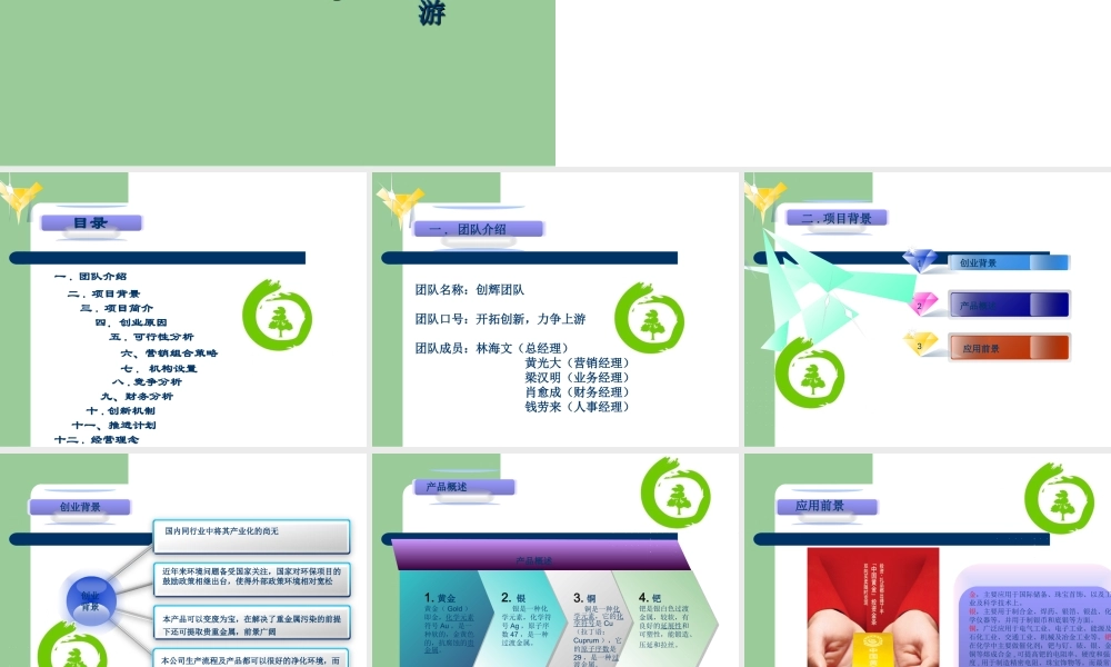 创业计划书肇庆创辉环保科技有限公司模板