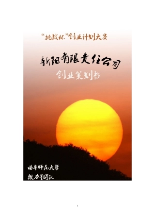 新阳公司环保创业项目计划书