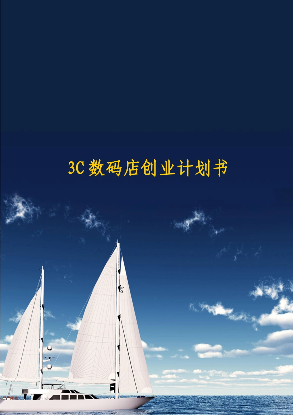 3C数码店创业计划书_第1页