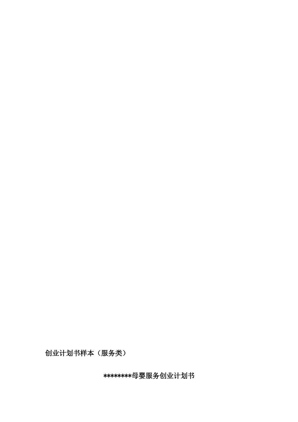 母婴服务创业计划书_第2页