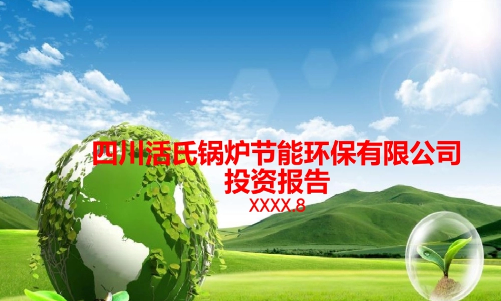 活氏锅炉并购商业计划书