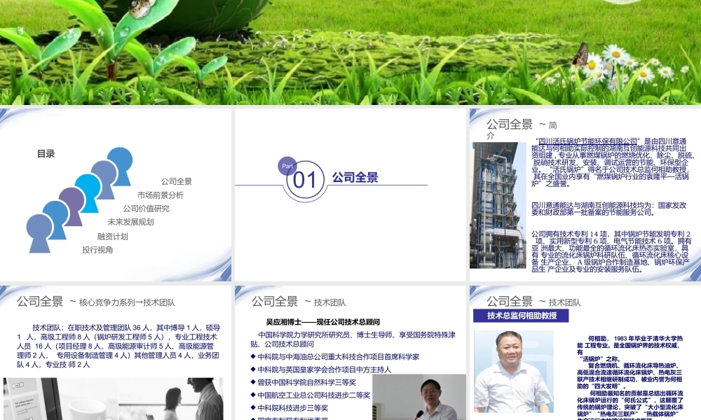 活氏锅炉并购商业计划书