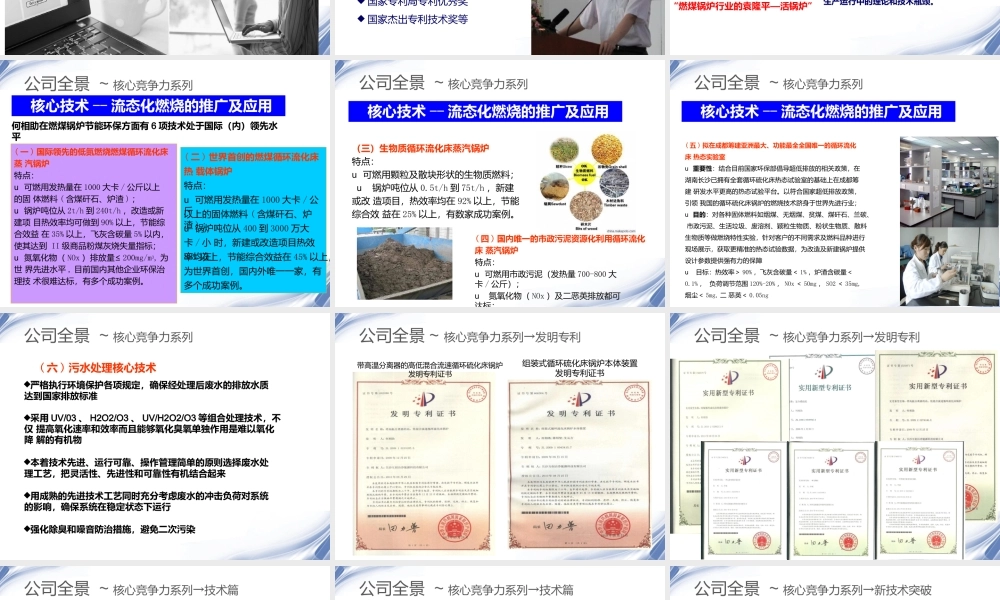 活氏锅炉并购商业计划书