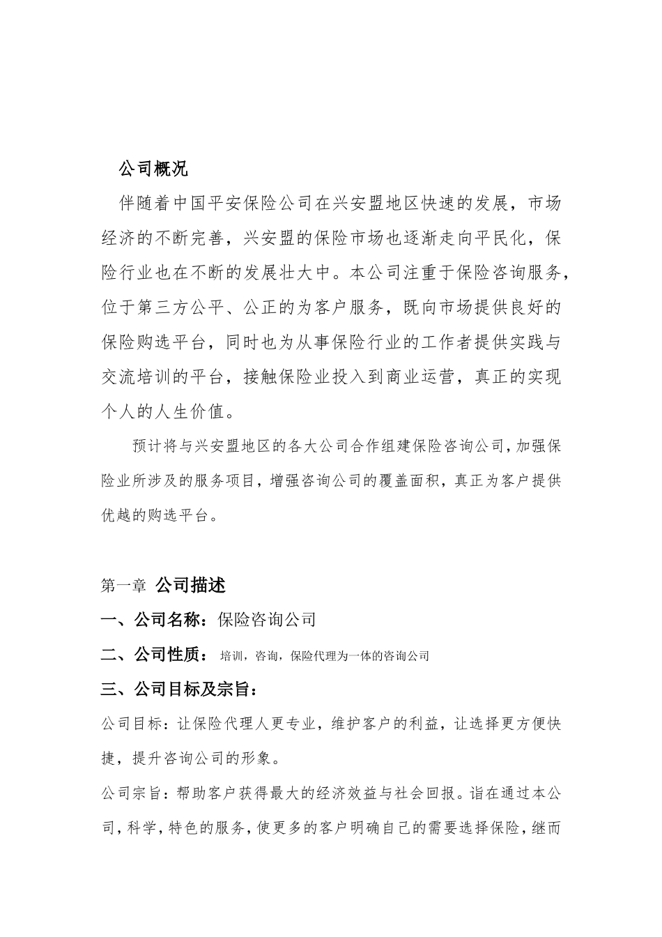 保险咨询公司策划书_第2页