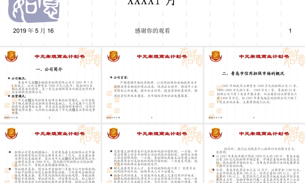 金融投资担保公司商业计划书