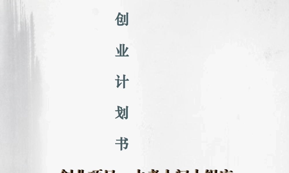 创业计划书(新)