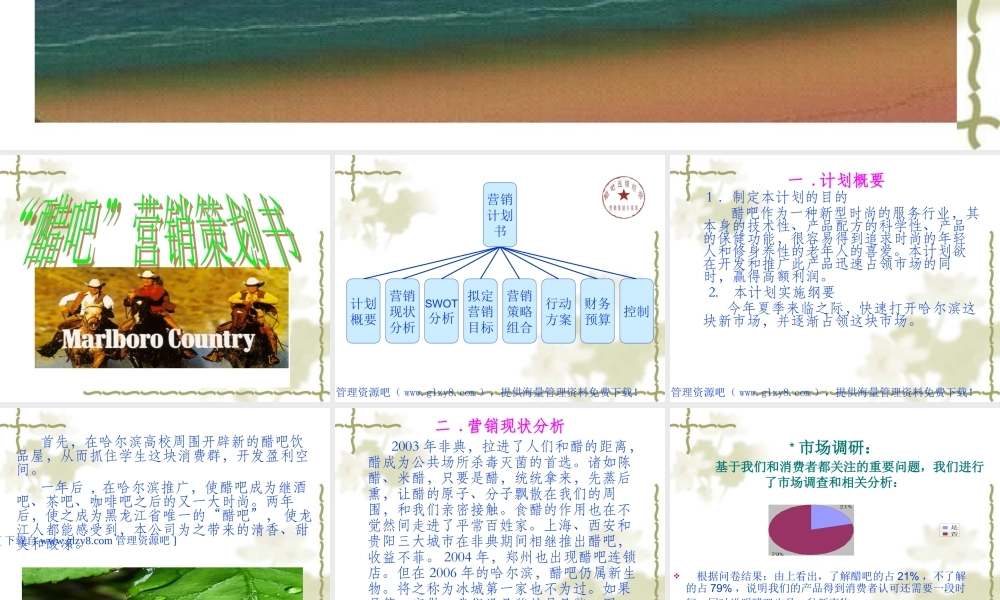 醋吧开店营销策划书