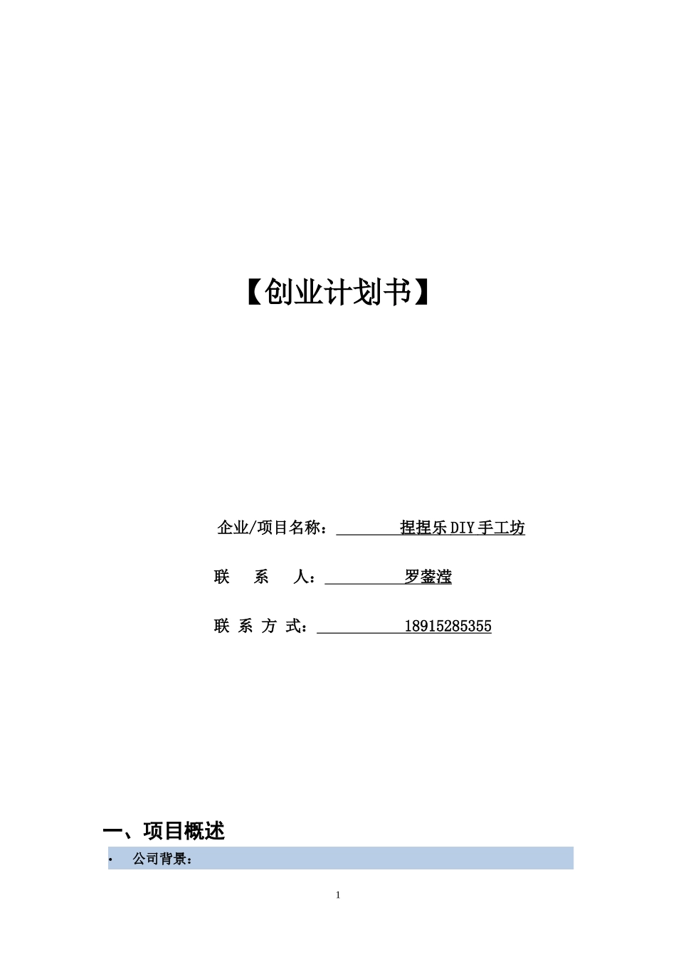 捏捏乐DIY手工坊——创业计划书_第1页