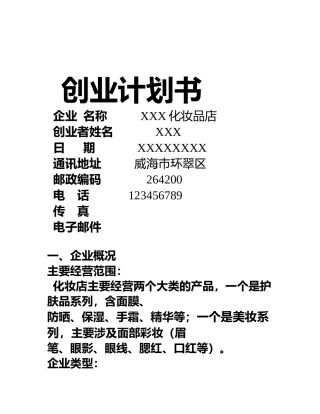 SYB化妆品店创业计划书123
