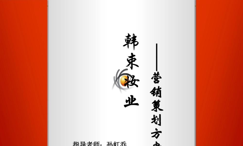 韩束妆业市场营销策划书