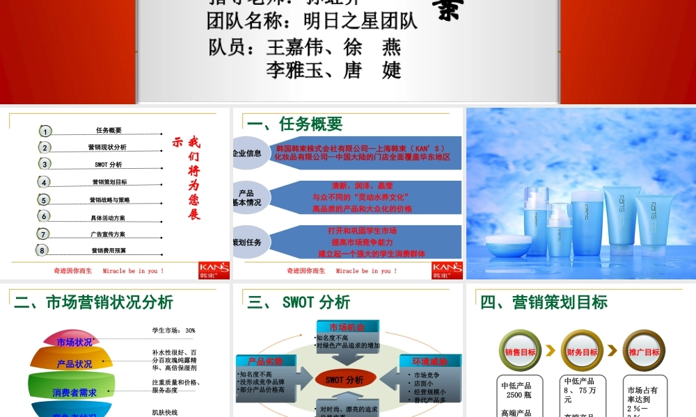 韩束妆业市场营销策划书